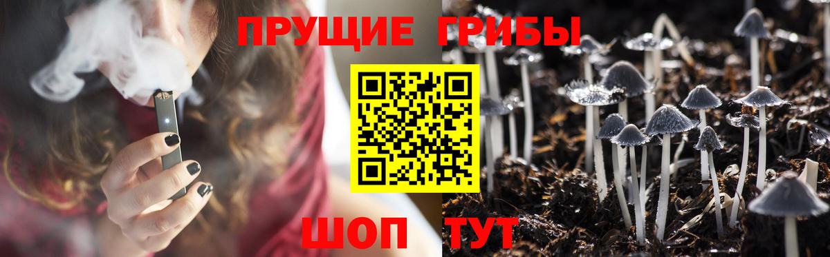 Псилоцибиновые грибы GOLDEN TEACHER  Вход с VPN  Киржач 